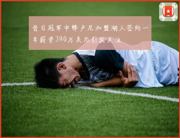 昔日冠军中锋卢尼加盟湖人签约一年薪资390万美元引发关注